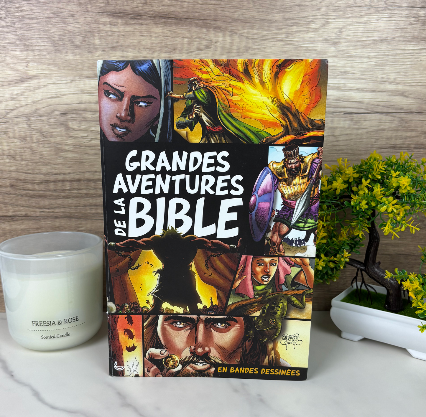 Grandes Aventures De La Bible